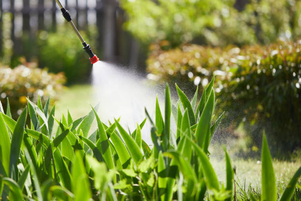 24/7 Emergency Fumigation Services experts in Girard, KS